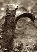 Wall_Art_Alphabet_Photography_Art_ 1920